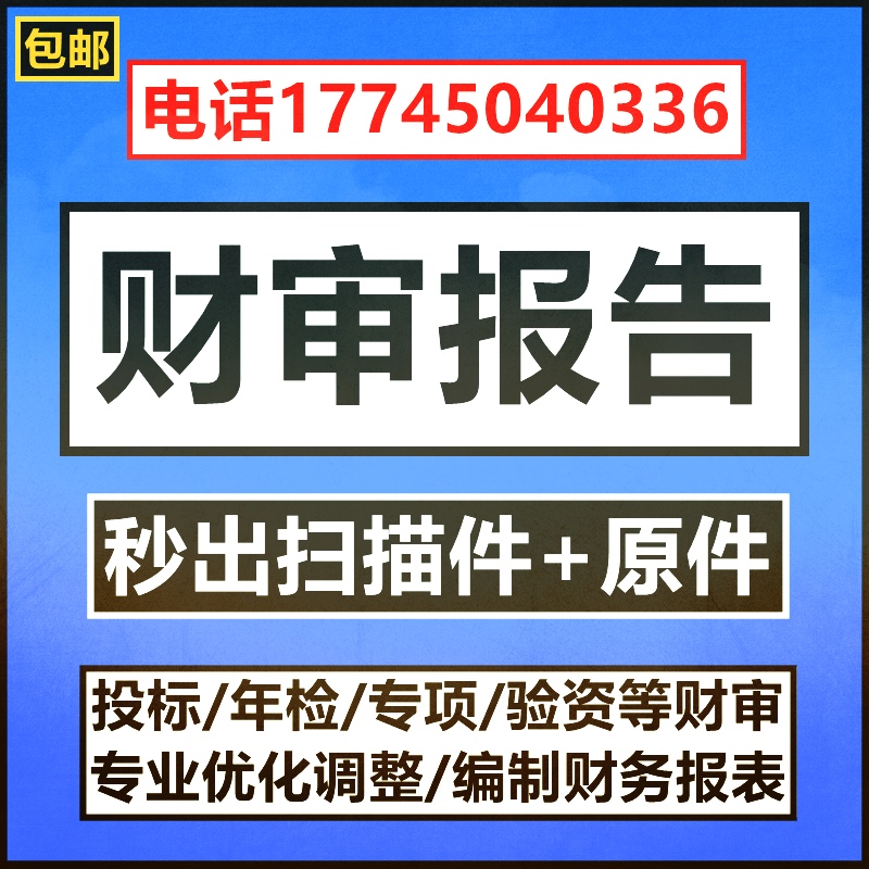 公司投标审计财务报表会计师代做