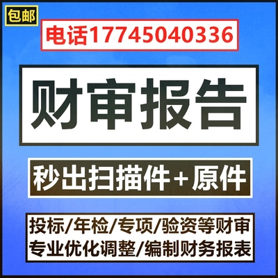 山西公司投标审计咨询年检报表