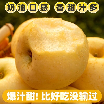 黄金奶油富士苹果山东烟台栖霞白色冰糖心新鲜水果牛奶5当季整箱