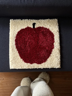 ARISUSPACE苹果时刻簇绒坐垫椅垫防滑家用车用高级小众ins原创