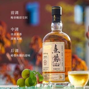诏安厂家品牌熹茗原味青梅酒梅子酒750ml礼盒装低度水果酒送礼