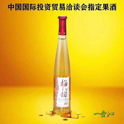 精酿青梅酒诏安青梅传统工艺酿造低度微醺酸甜果酒露酒500ml