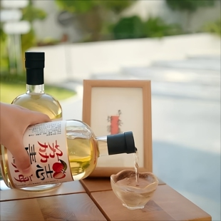 诏安荔枝青梅酒微醺梅子酒500ml低度水果酒送礼特产果酒晚安酒