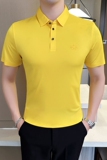 夏季冰丝高弹翻领无痕T恤男士光滑短袖POLO衫白色PL2-P48，男装T恤，电商C308