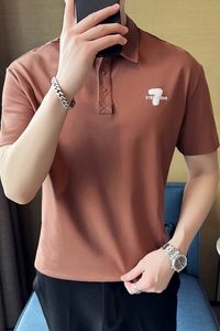 夏季 男士休闲字母polo衫t恤 潮流修身翻领半袖polo衫C10010-P58图片