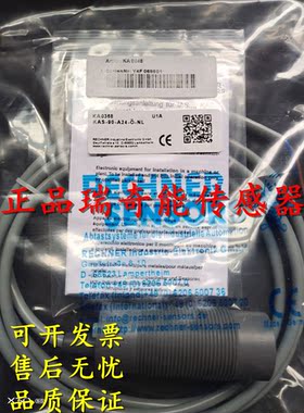 RECHNER SENSORS瑞奇能传感器102417 IAS-10-A22-S-100°C
