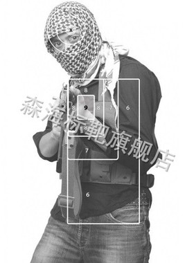 标靶R41战术靶纸 EVA靶 40*30CM 射击、竞技、练习靶纸 Target