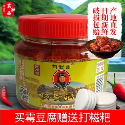 湖南湘西特产洗车河向武哥霉豆腐