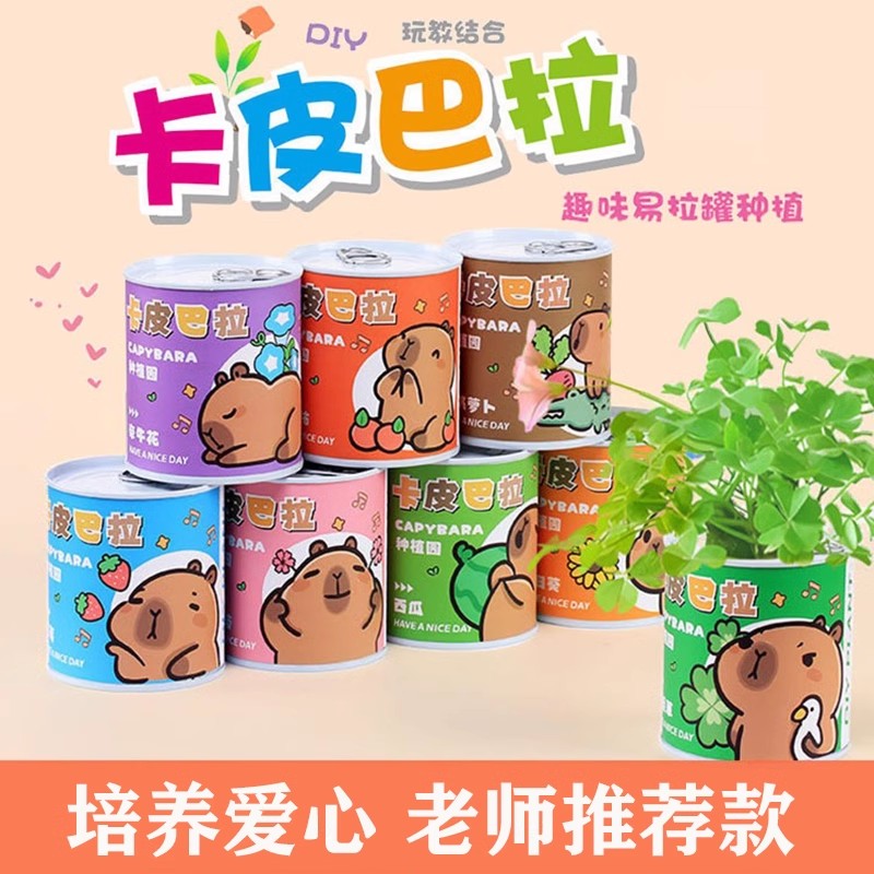 神奇植物办公室绿植小盆栽室内迷你桌面儿童种罐头花情绪稳定盲盒