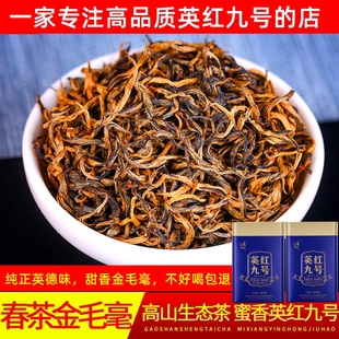 正品 高山老树英德红茶英红九号浓香型金毛毫特级明前春茶2024新茶