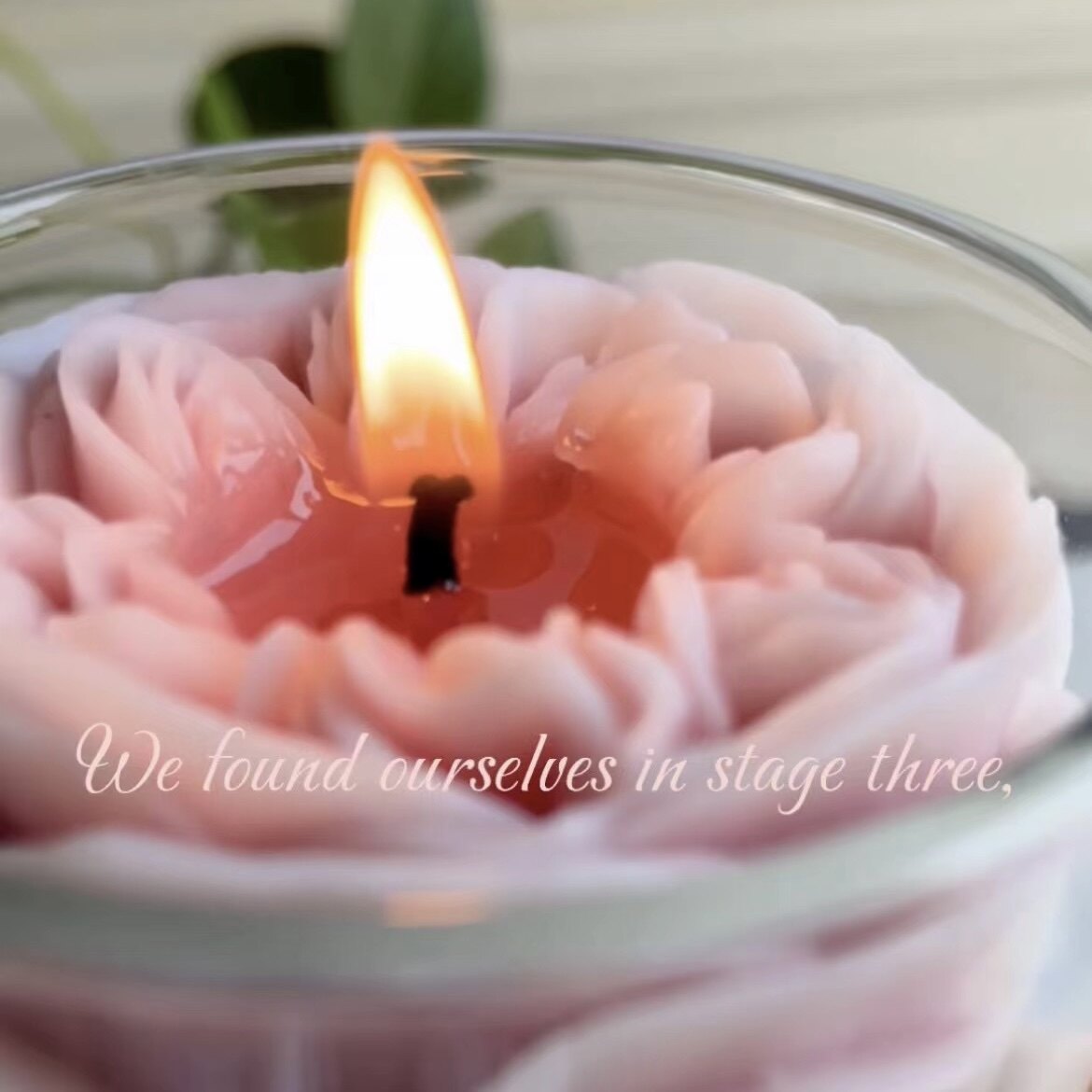 天然精油香薰蜡烛送教师女生情人节七夕闺蜜生日礼物花朵杯蜡礼盒