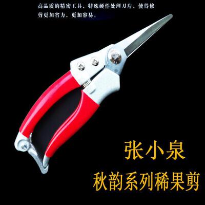 张小泉ZH-307 稀果剪 园艺整枝剪园林盆栽剪刀园艺工具剪