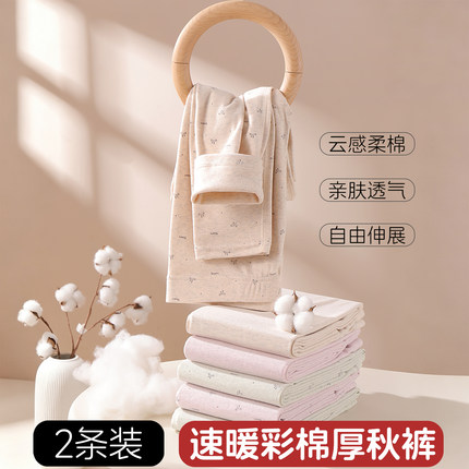秋裤女士内穿打底裤加厚加绒线裤衬裤棉毛裤学生柔棉彩保暖裤女冬