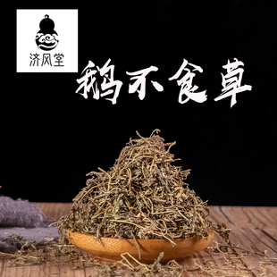 济风堂 鹅不食草食胡荽天胡荽猪屎草鸡肠草道地无硫 50~500克