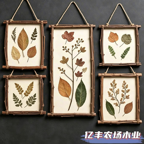 网红田园风手工天然叶子花朵标本