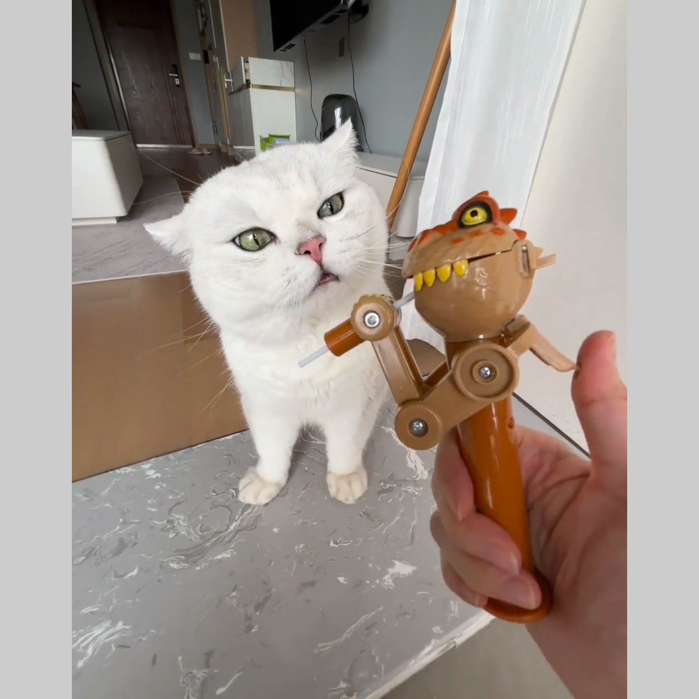 网红恐龙机器人儿童棒棒糖吃糖创意糖果逗猫玩具神器宠物猫薄荷球