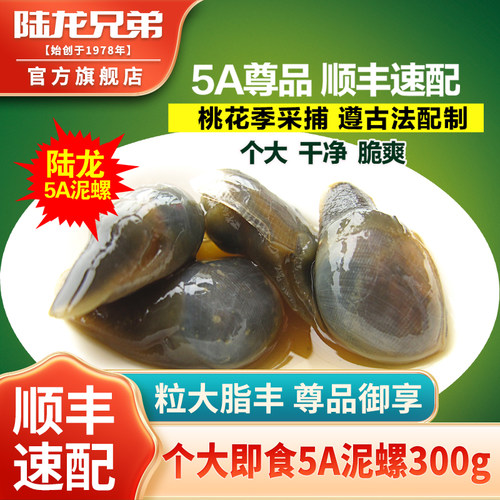 陆龙5A黄泥螺顺丰速配宁波老字号