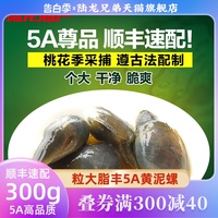 宁波老字号特产黄泥螺陆龙兄弟5A醉泥螺即食罐装野生个大无沙300g