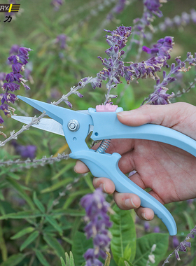 史拉力/SELLERY园艺修枝剪/花艺/采果剪 台湾原产园林绿化剪刀