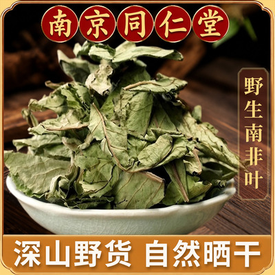 正宗南非叶将军叶苦胆叶干品