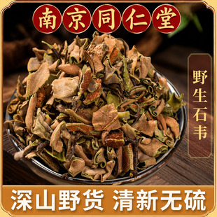 石韦中药材正品500g新货小叶石韦石韦草石背柳新货石兰