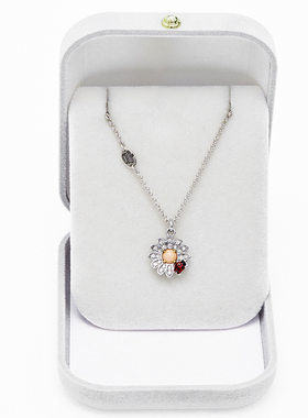 日韩镶钻银色可调节锁骨项链