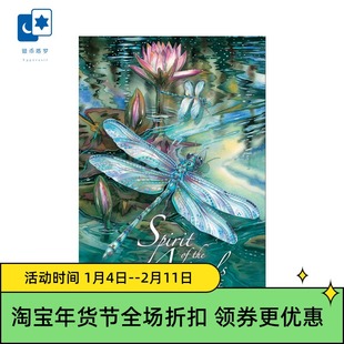 进口正版动物意志神谕卡 Spirit Of The Animals 桌游卡牌