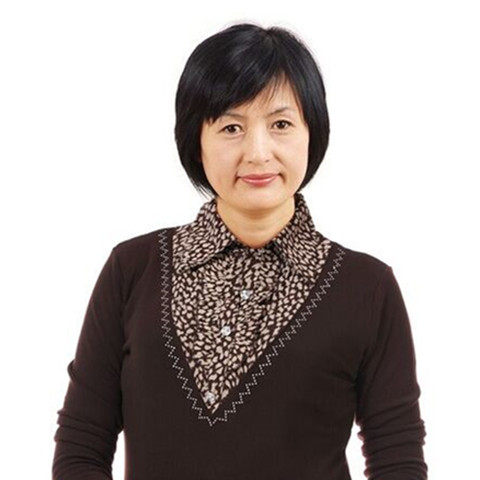 Perruque OTHER   cheveux courts - Ref 2608931 Image 1