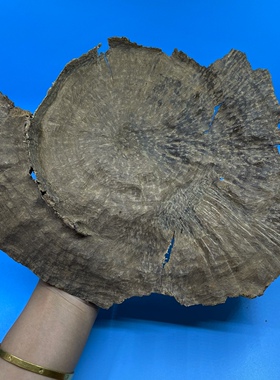 60年代海南包头天然保真沉香摆件高28cm宽21cm厚1.5cm重154.8克