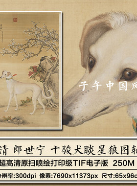 郎世宁十骏犬之霜花鹞图清朝古代工笔名狗装饰画高清电子图片素材
