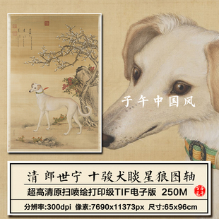 郎世宁十骏犬之霜花鹞图清朝古代工笔名狗装饰画高清电子图片素材