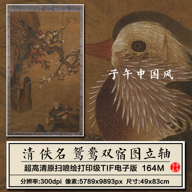 清朝佚名鸳鸯双宿图轴古代纸本工笔国画装饰打印高清电子图片素材