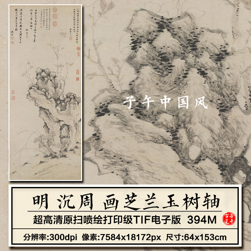 沉周画芝兰玉树轴明朝古代水墨花卉绘画装饰画高清电子版图片素材