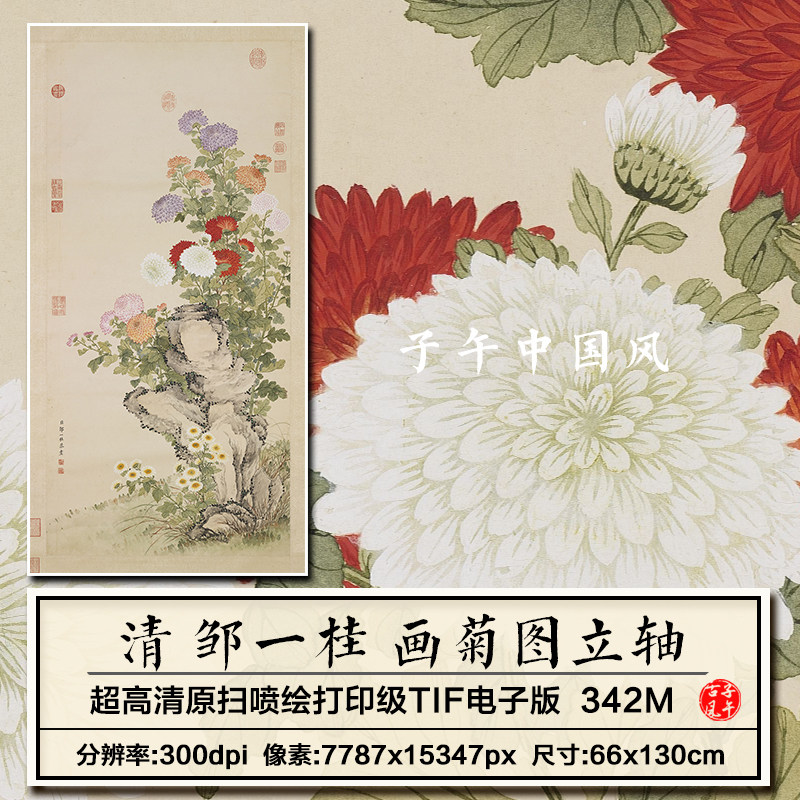 邹一桂画菊图轴清朝古代工笔白红紫黄菊花绘画高清电子版图片素材