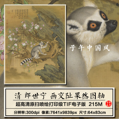 郎世宁画交阯果然图立轴清朝古代工笔小浣熊绘画高清电子图片素材