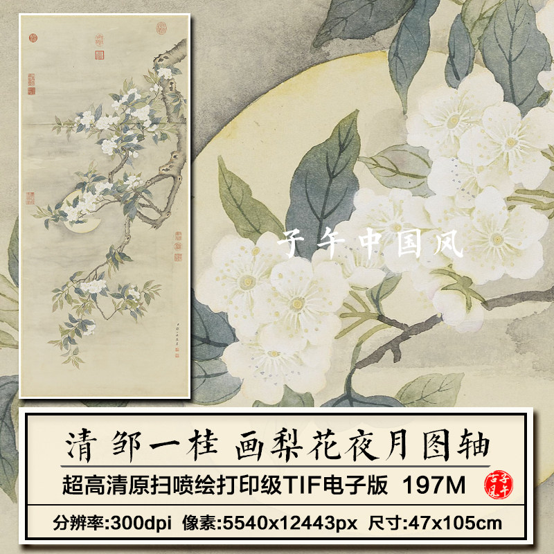邹一桂画梨花夜月图轴清朝古代梨枝白花装饰高清电子版大图片素材