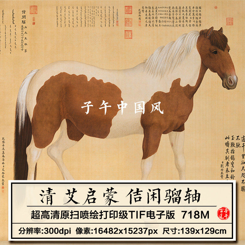 艾启蒙佶闲骝图轴清朝古代骏马工笔绘画装饰高清电子版大图片素材