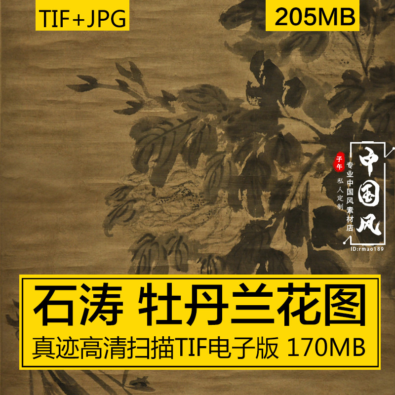 牡丹兰花图 石涛 古风国字画花鸟山水墨笔美术高清TIF电子版素材