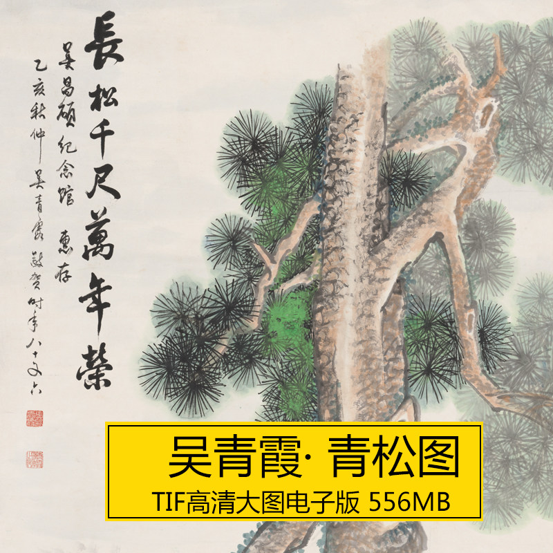 青松图 吴青霞 近现代名画高清素材美术临摹tif微喷 装饰画电子版