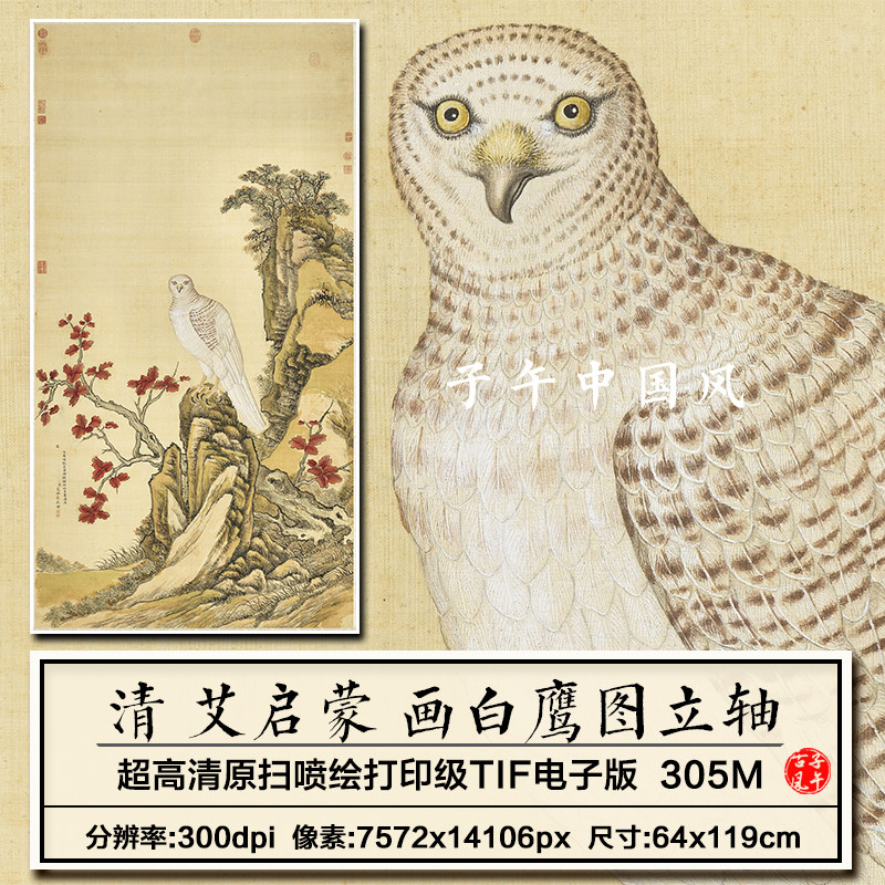 艾启蒙画白鹰轴清朝古代工笔老鹰绘画装饰打印高清电子版图片素材