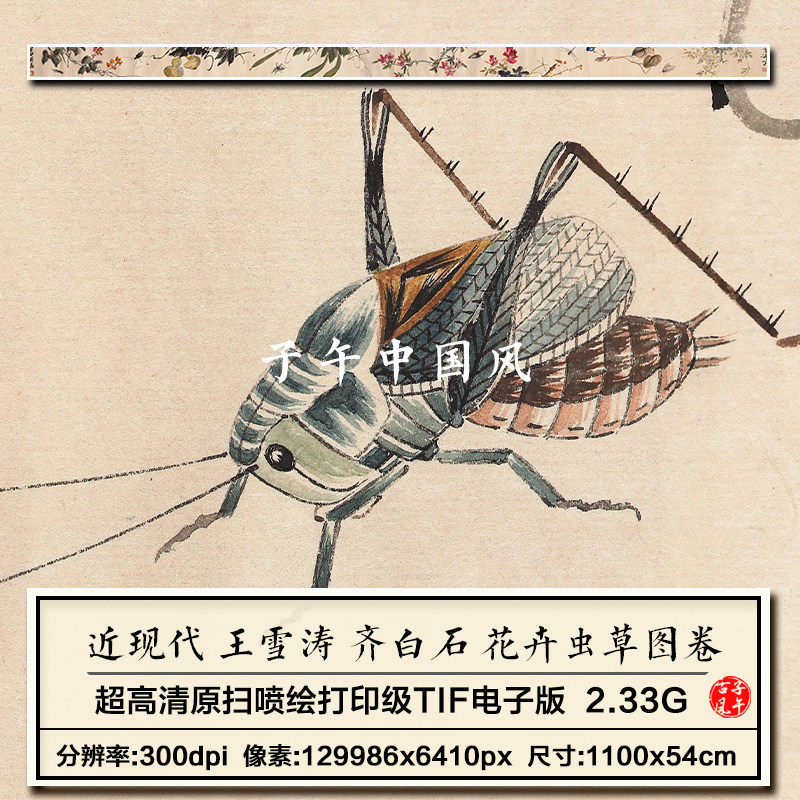王雪涛齐白石花卉虫草图卷白石补虫装饰打印高清电子版大图片素材