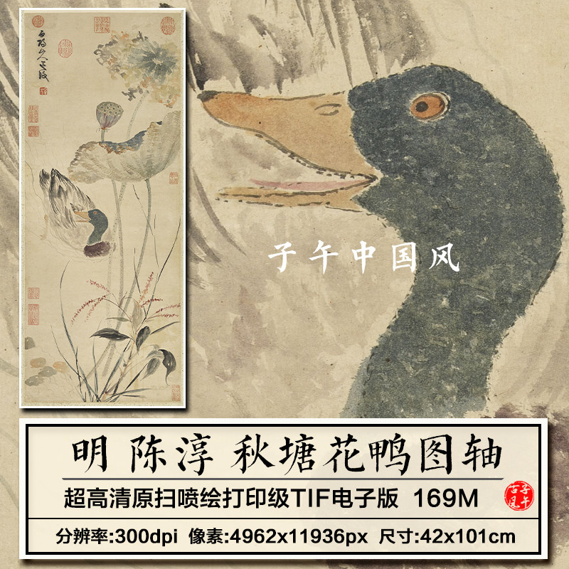 陈淳秋塘花鸭图明朝古代荷花野鸭花鸟绘画装饰高清电子版图片素材