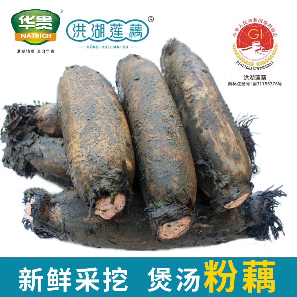 洪湖粉藕湖北特产正宗洪湖煲汤莲藕新鲜带泥现挖现发京东顺丰包邮