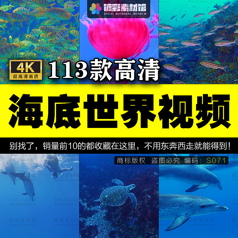 4K海底世界海洋生物动物龟鲨鱼群鱼海豚实拍高清视频剪辑素材S071