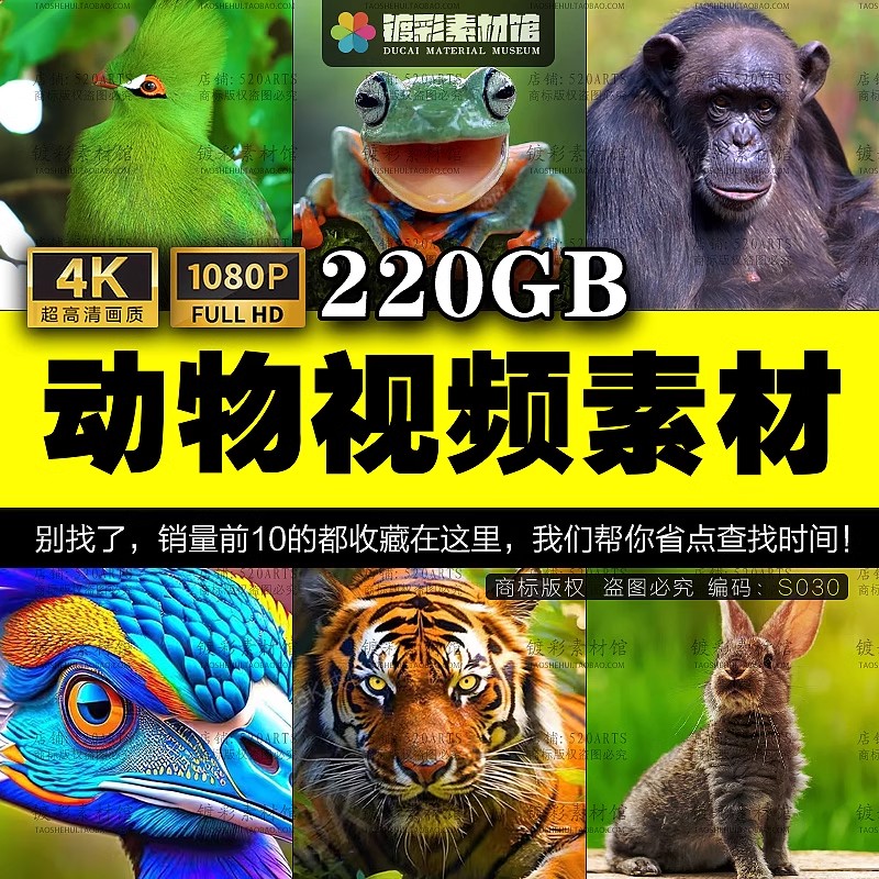 4K动物世界鸟类昆虫狮子老虎大象熊猫狗高清短视频剪辑素材S030