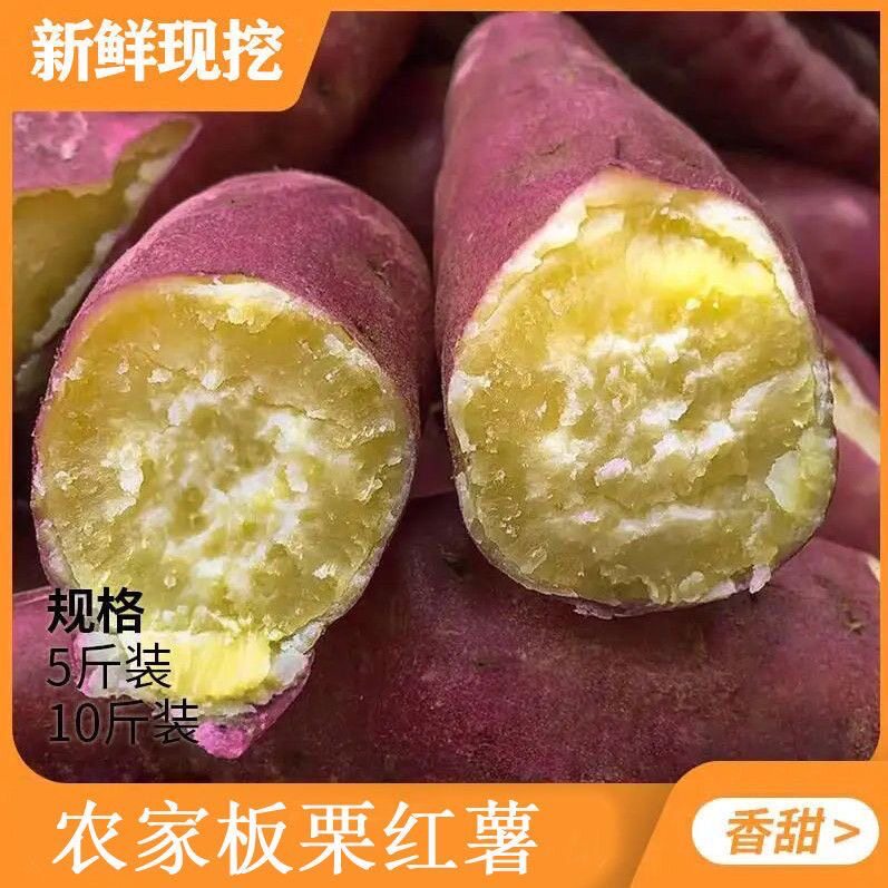 正宗黄心板栗薯老品种地瓜农家自种新鲜番薯黄心蜜薯香薯蛋黄番薯