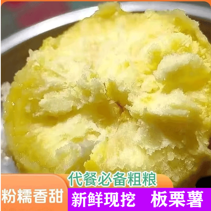 板栗薯黄心甜面粉番薯蜜红薯正宗山东新薯现挖蛋黄红皮老品种新鲜