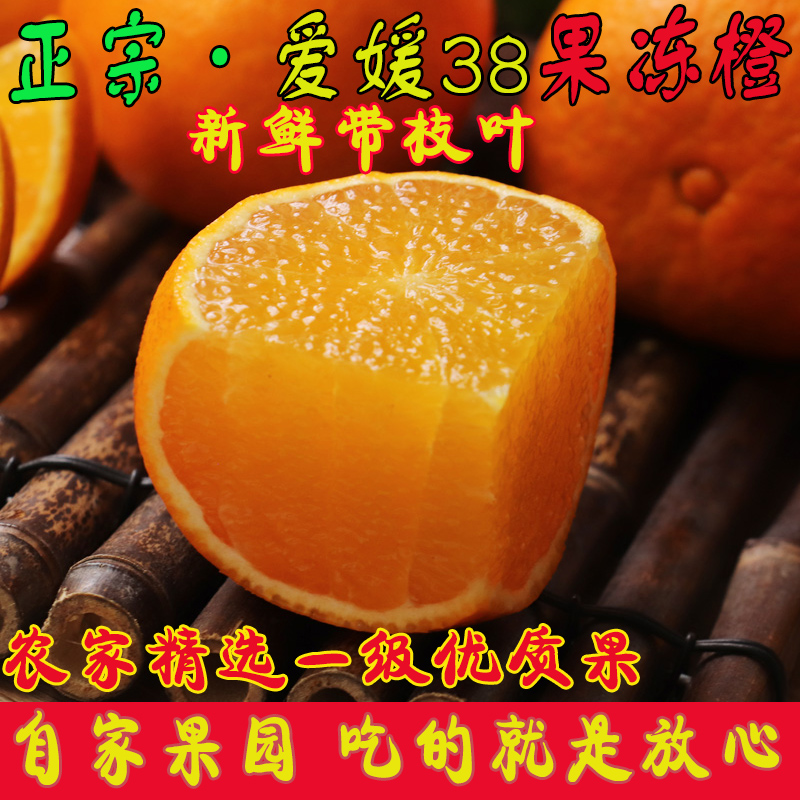 农家自产正宗爱媛38号果冻橙