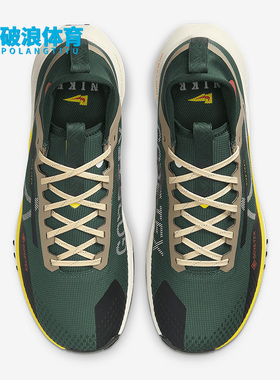 Nike/耐克正品Pegasus Trail 4 GORE 男子跑步鞋FD0317-333