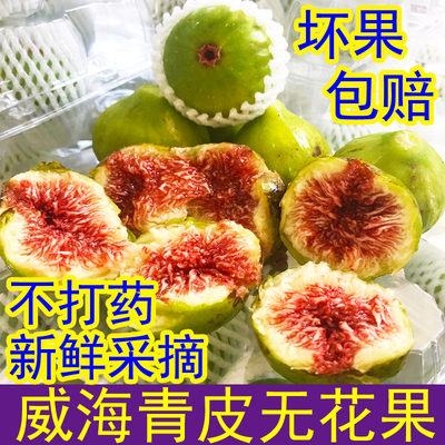 13年老店/鲜无花果青皮鲜果糯甜